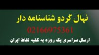 درخت گردو کانادایی پاکوتاه  09197722560