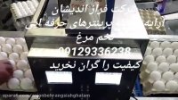 جت پرینتر تخم مرغی
