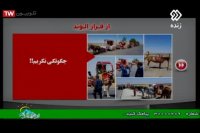 اسب که شعور ندارد بفهمد دستشویی کجاست!