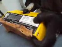 MAGMATE MAGNETIC LIFTER CHARLES