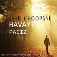 دانلود آهنگ جدید امیر چوپانی به نام هوای پاییز