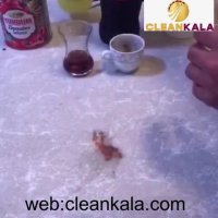 لسپری لکه بر فرش