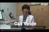 عشق و احساسات مظلومین الهى ( گربه هاى بى پناه )