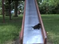 سرسره بازی!