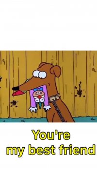 بهترین دوست به انگلیسی