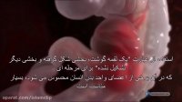 ۱۲.تکه گوشت جویده(مضغه)٭معجزات علمی قرآن٭