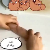 رول مرغ سوخاری