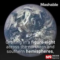 آپارتمان پرنده