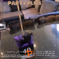 تم تولد زیبا