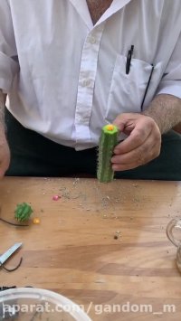 آموزش پیوند خواب در کاکتوس