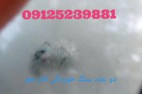 ترمیم شیشه ماشین  09125239881