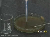 کشف داروی درمان ریزش مو و تقویت مو  - BustanYazd