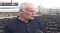حضور ایران در صنعت گلخانه ای ارمنستان