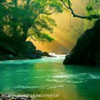 موسیقی اصیل - آهنگ برادر جان - خواننده علی سیار