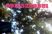 شیشه شکسته ماشین رو چکار کنیم ? 09125239881