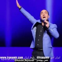 حسن ریوندی: لیوان کاکتوس  چندتا دارین توو خونه؟