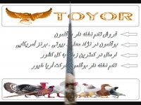 فروش تخم نطفه دار بوقلمون کاملا تازه و نطفه دار