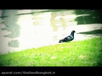 معرفی بانکوک تایلند 09128620211