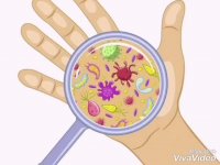 ضد عفونی کننده هوا