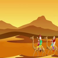 سافاری در کیش