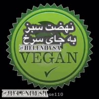 گریه مادر براى پسر شیر خواره اش(گوساله تازه بدنیا آمده)