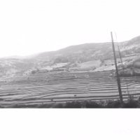 به سوی تو به شوق روی تو.. نیمه گمشده کجایی؟!