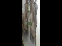 تخت و خواب و سرویس مبل