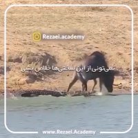 جدال برای موفقیت