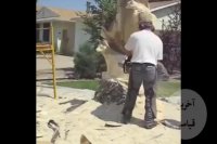 کنده کاری روی چوب