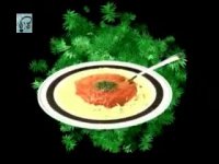 pregnancy and Childbirth .ویار در دوره حاملگی