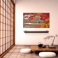 OLED TV