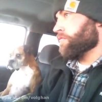 تربیت و فروش سگ گارد و سگ نگهبان - دهکده حیوانات