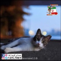 من هنوز همونم، مدافع حقوق حیواناتم