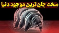 رکورد خرس آبی با پانصد میلیون سال زندگی روی زمین!