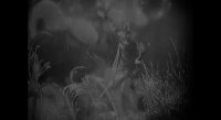 F.W. Murnau's SUNRISE: A SONG OF TWO HUMANS - Trailer