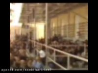 امام حسین(ع)درکلام آیت الله منتظری(ره)