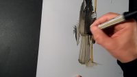 👻Drawing Trick - How to Draw 3D Death Reaper - Vamos