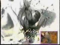 این فتنه گران حرمت عاشورا را شکستند.