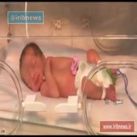 چهار قلوهای اصفهانی به دنیا آمدند