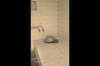 جاذبه ها و اماکن تاریخی و تفریحی و رستورانهای جهانشهر یزد