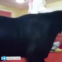 حیوان عجیبی با دستکاری ژنتیکی در عربستان