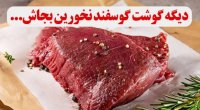 چرا باید گوشت شترمرغ را جایگزین همه گوشت ها کنیم؟-