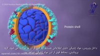 کرونا چگونه به بدن حمله می کند؟