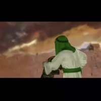 حقیقت شهیدمحسن حججی