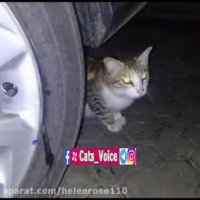 من هنوز همونم