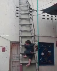 وقتی میفهمی ناهار قرمه سبزیه