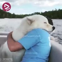 مهربون ترین حیوانات