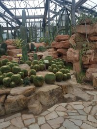 معرفی گلخانه و گل و گیاهان آپارتمانی