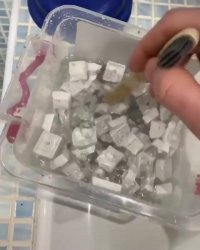 خلاقیت در قرنطینه