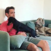 کلیپ خنده دار اینستا - سگ مهربان